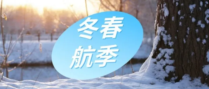 新航季 | 成都航空冬春航季即將開啟