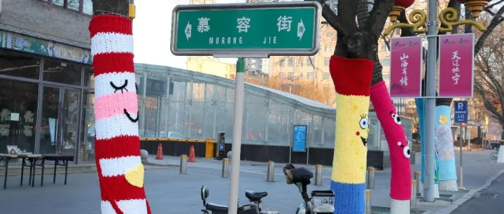 朝阳大树穿花衣 邀你拍新年大片