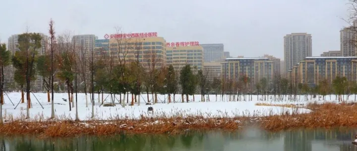 大寒逢瑞雪，靜安暖如春