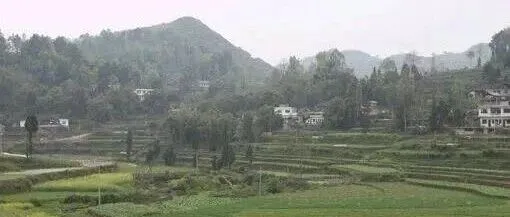 新蒲新區(qū)有個(gè)三合村，你知道不？