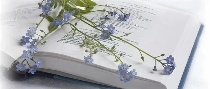 诗经楚辞中的150个唯美名字，或许你的名字就在其中