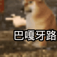 我的刀盾呢？八嘎呀路- 大数跨境