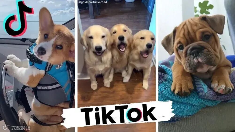 如何开始：一周搭建可运行的合规与风控体系