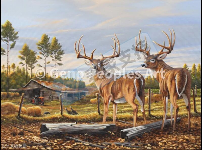 6-cv-00202，Rickey