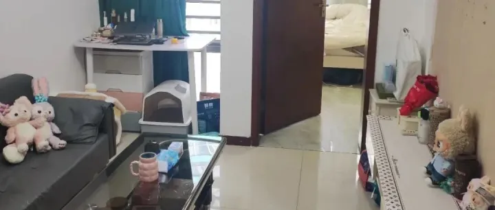 【罗湖新秀】东方都会一房一厅3600