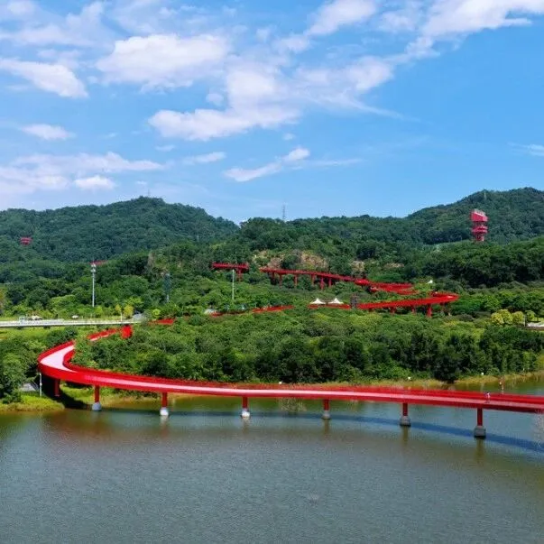 外交部发言人毛宁点赞！虹桥公园火到海外！