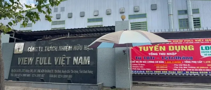 攜手越南家具產(chǎn)業(yè)，1981科技受越南亞馬遜之邀深入平陽，共繪2026品牌出海新藍圖