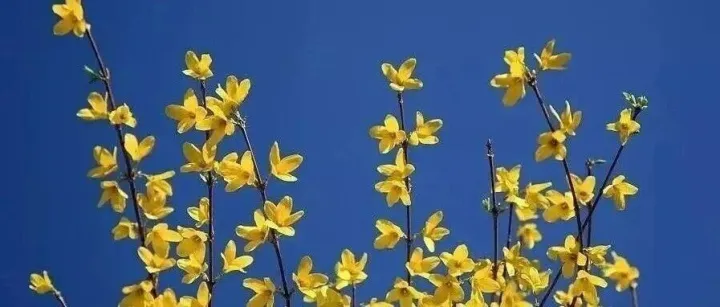 【万通药业&劲峰医药】品牌控销  大健康产品-OEM贴牌源头厂家