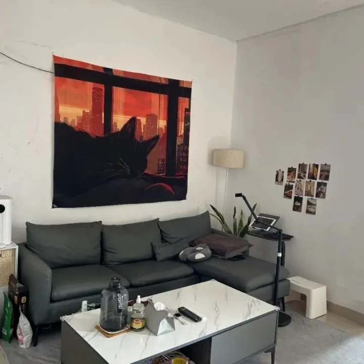 【龙岗六约北】卓然居57平一房一厅2380