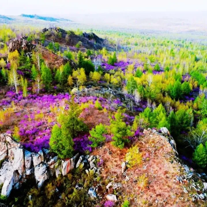 光影里的孙吴 | 线上作品展——盖冠英孙吴在线 2026年1月22日 16:22 黑龙江