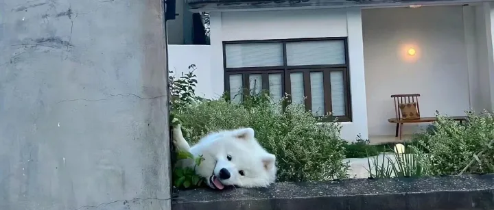 𝐩𝐥𝐨𝐠🥨｜任何时候都可以发的朋友圈🪡꙳⋆.