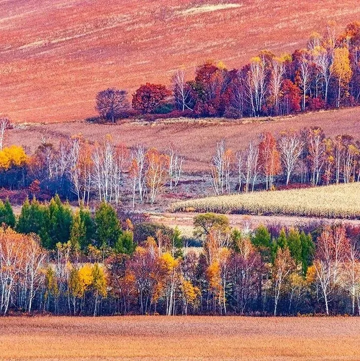 光影里的孫吳 | 線上作品展——李東