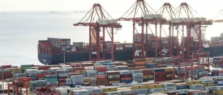 538箱貨瞞報被扣，1500個還柜號一小時搶空！