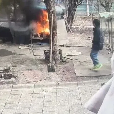 两男孩扔烟花点燃狗笼后致狗死亡，家属发声