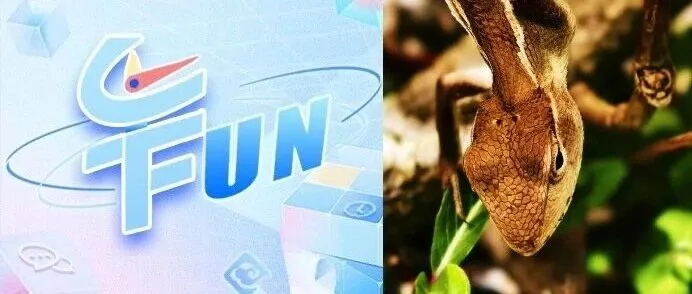 云南<em>保山</em>首次記錄到“迷你恐龍”！