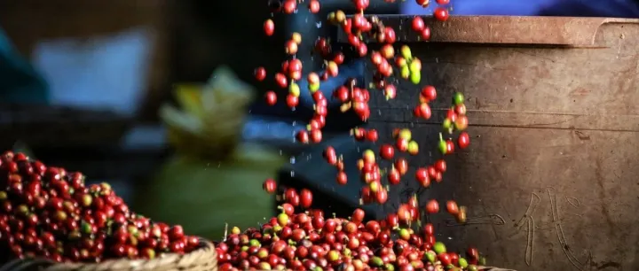 <em>保山</em>給出答案→