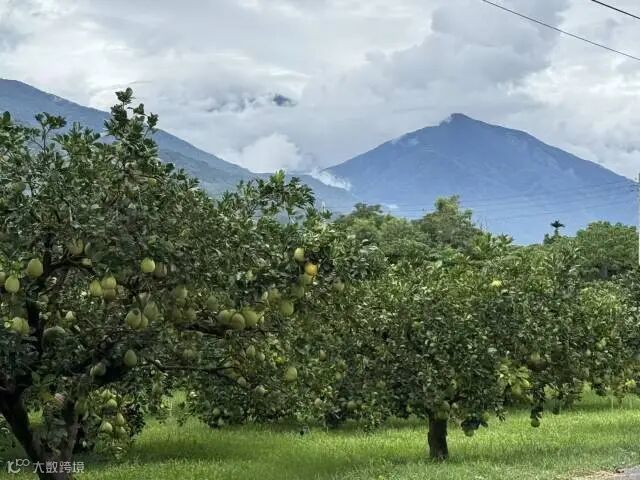 无  通讯员 无 供图