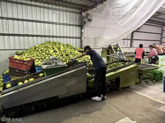 无  通讯员 无 供图