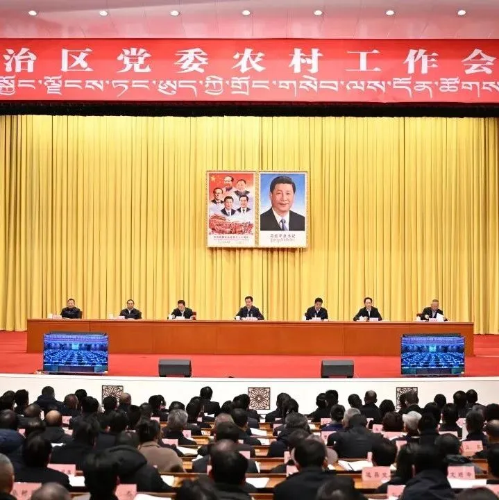 自治區(qū)黨委農(nóng)村工作會(huì)議召開 王君正出席并講話