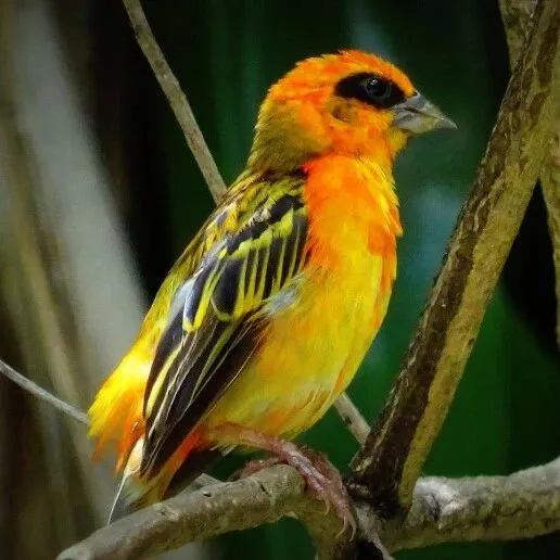 超20個地中海港口聯(lián)合罷工