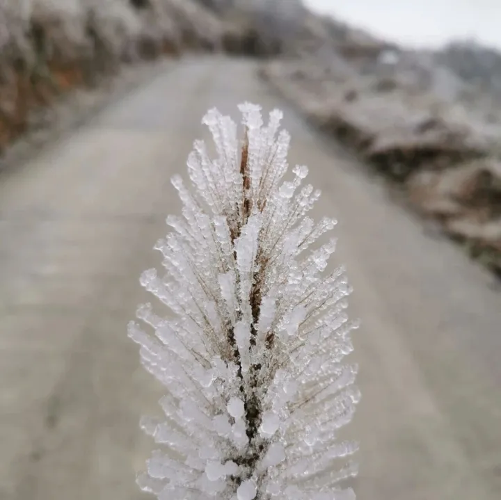 大范圍雨雪即將來襲！貴州局地有凍雨、雨夾雪
