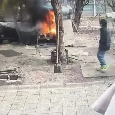 两男孩扔烟花点燃狗笼后致狗死亡！勿让悲剧重演→