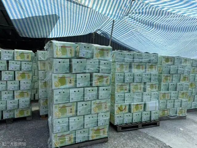 无  通讯员 无 供图