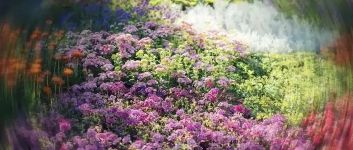 未來北京怎么玩？逛公園、賞美景、游中學，全時段為你補充活力