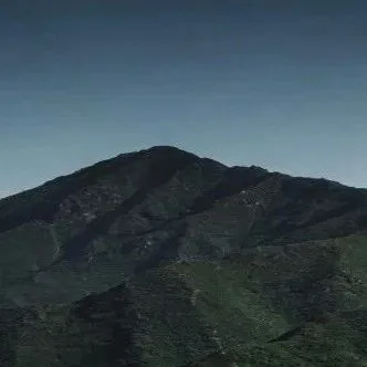 国产人工心脏冲刺第一股