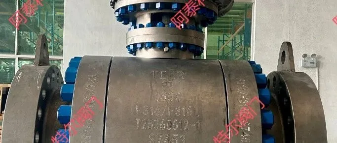 阿泰科助力特爾閥門順利完成30寸1500LB大口徑硬密封高壓氣球閥一次性驗收合格