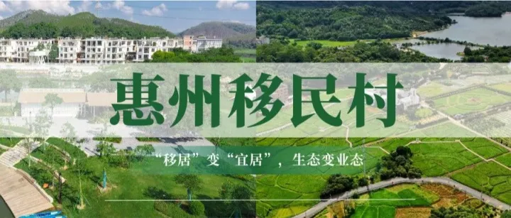 廣東水庫移民村蝶變記 | 產業(yè)先行+鄉(xiāng)賢反哺：惠州“一村一案”精準賦能“百千萬工程”