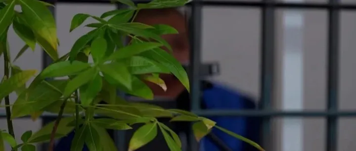 与100多名女性保持暧昧关系！假飞行员落网！