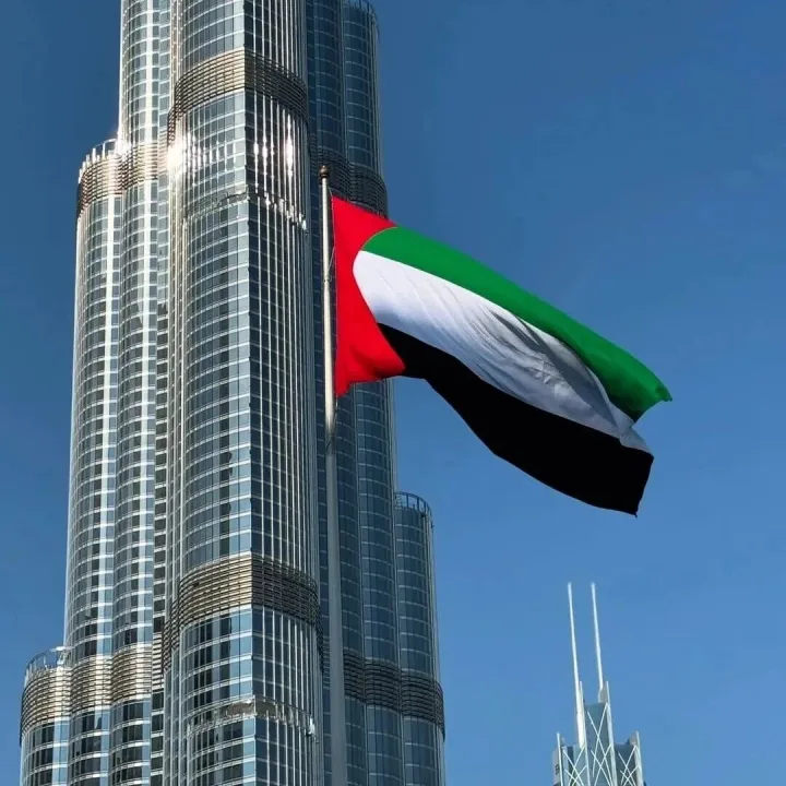 为何全球资本选择持续涌入阿联酋房地产市场？