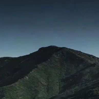 西门子医疗大动作