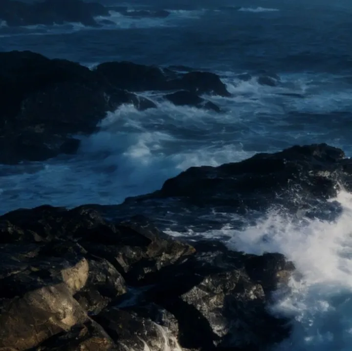 2026，医药代表何去何从