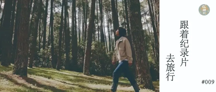 从指尖到林海的绿色长征：一部纪录片唤醒的生态自觉