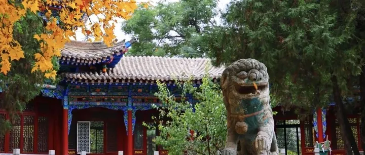 【秋色入鏡】分享一張你手機(jī)里最美的臨夏秋景！