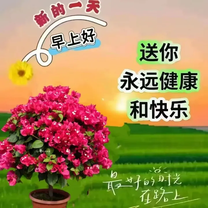 早上好最新版早上好<em>图片</em>精选 早安祝福<em>图片</em>带字