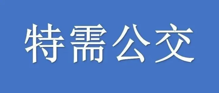 19日起，重庆中心城区2条特需公交开始试运行