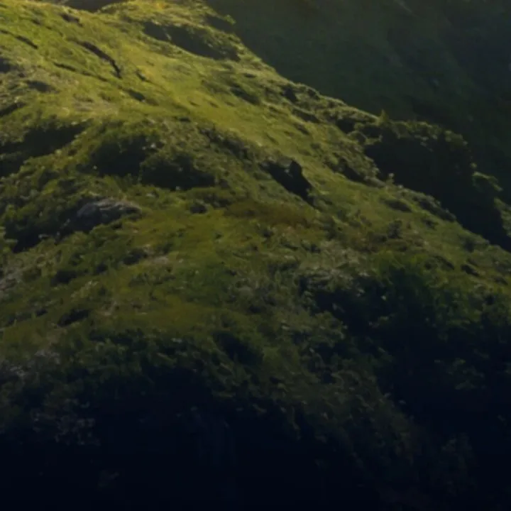 微创医械龙头，重大收购