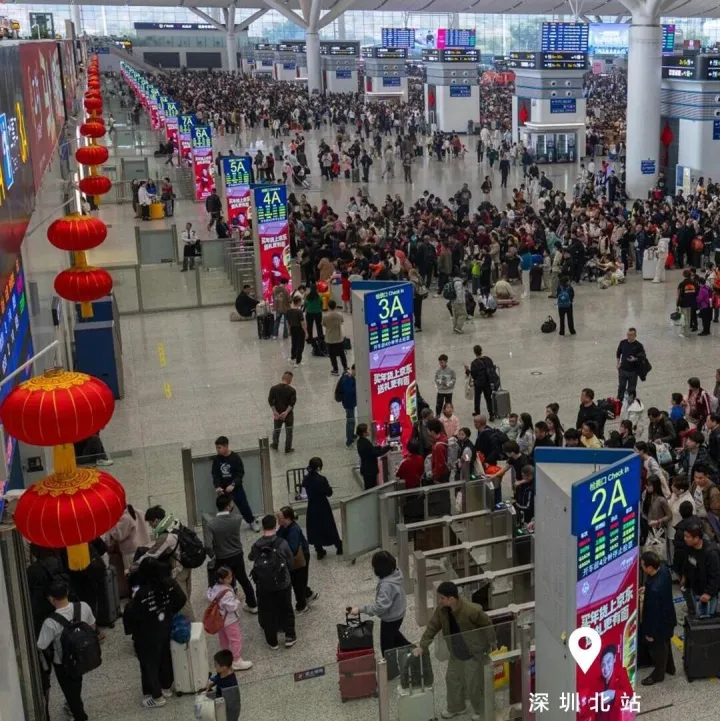 美麗深圳·每日一圖｜2026年2月8日