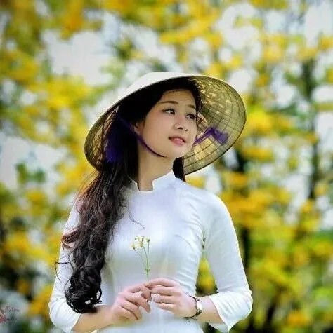 船公司官方網(wǎng)址匯總