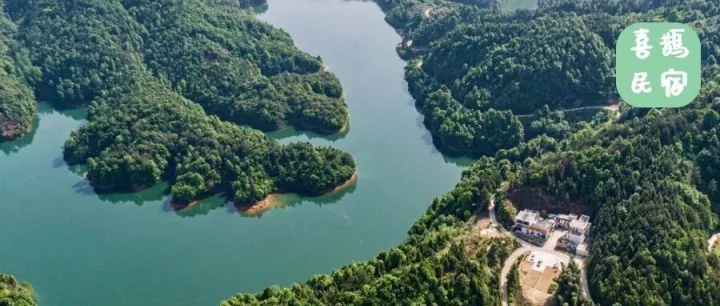 河畔林間，我遇見了夢(mèng)中房屋 | 文末送房券