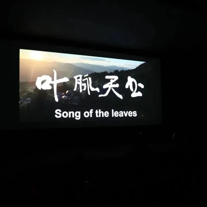 中國(guó)世界文化遺產(chǎn)紀(jì)錄片《葉脈天書(shū)》在巴黎聯(lián)合國(guó)教科文組織總部首映｜國(guó)際交流