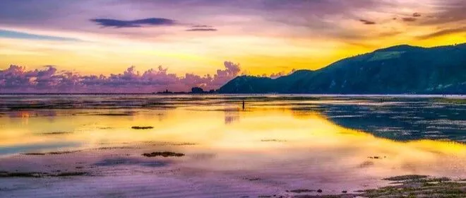 【印尼商業(yè)前沿洞察】小眾掘金：印尼寵物經(jīng)濟(jì)爆發(fā)，中國品牌如何切入藍(lán)海市場？