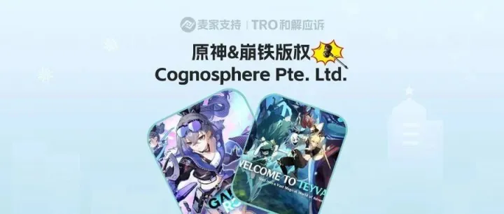 26-cv-00676，游戲版權(quán)跨境維權(quán)預(yù)警，跨境賣家選品需注意規(guī)避