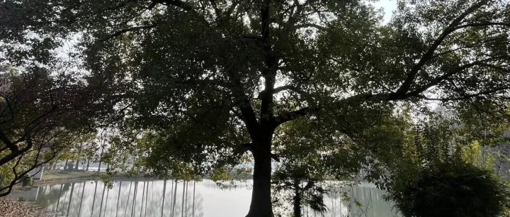 新手做外貿(mào)需要注意哪些問題