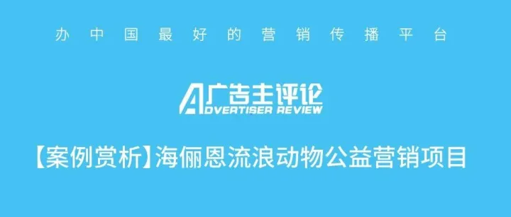 【案例賞析】海儷恩流浪動物公益營銷項目