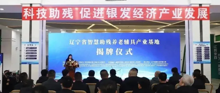 溫情助殘 <em>阜新</em>用實(shí)干書寫民生答卷