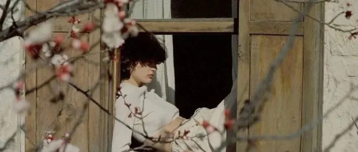 谁也夺不去的春天来临了